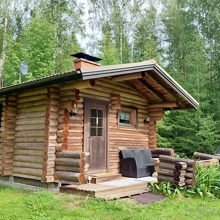 Koivula Fish *