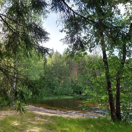 Koivula Fish