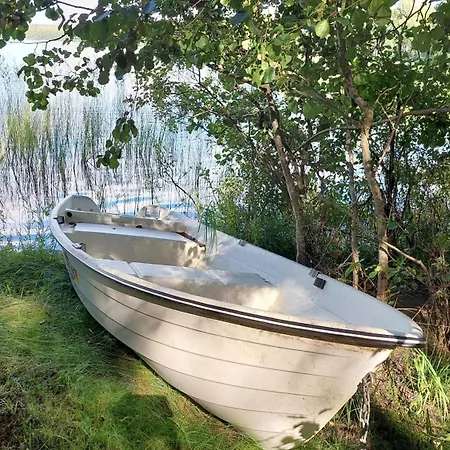 Koivula Fish *